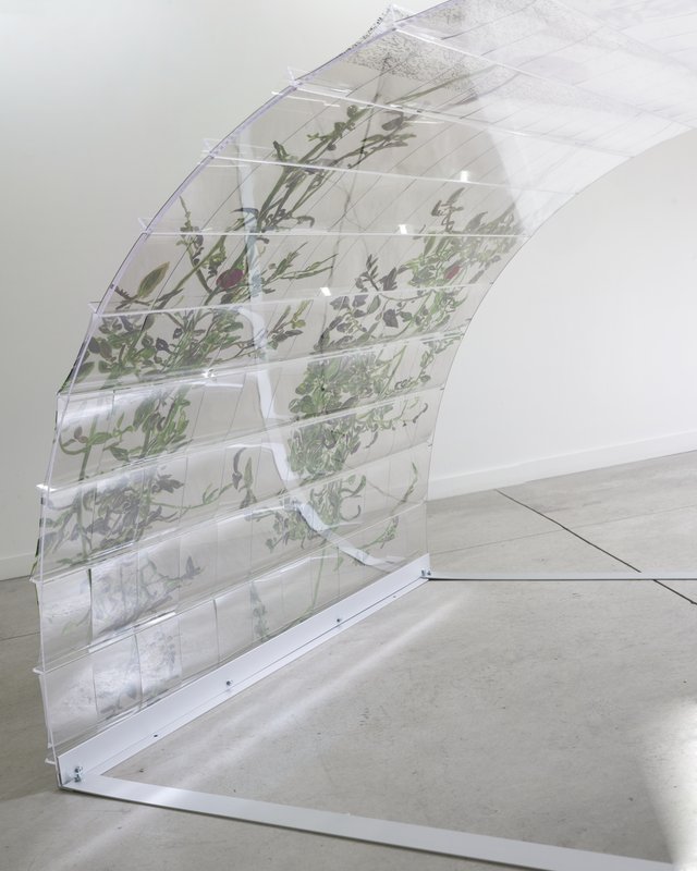 20150226 Alex Fischer 1 7 and 6000 O'Born Contemporary 05 VII (6000) documentation